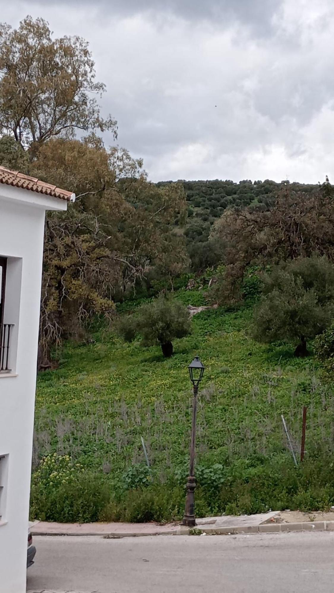 Holiday home Casa Duque