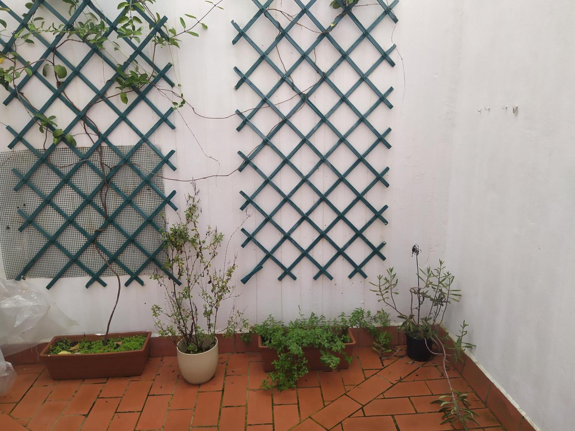 Holiday home Casa Duque *